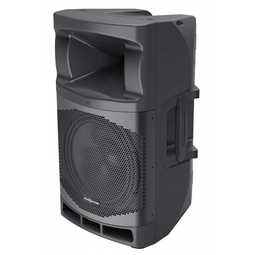 Audiocenter MA12 активная акустическая система в Петрозаводске