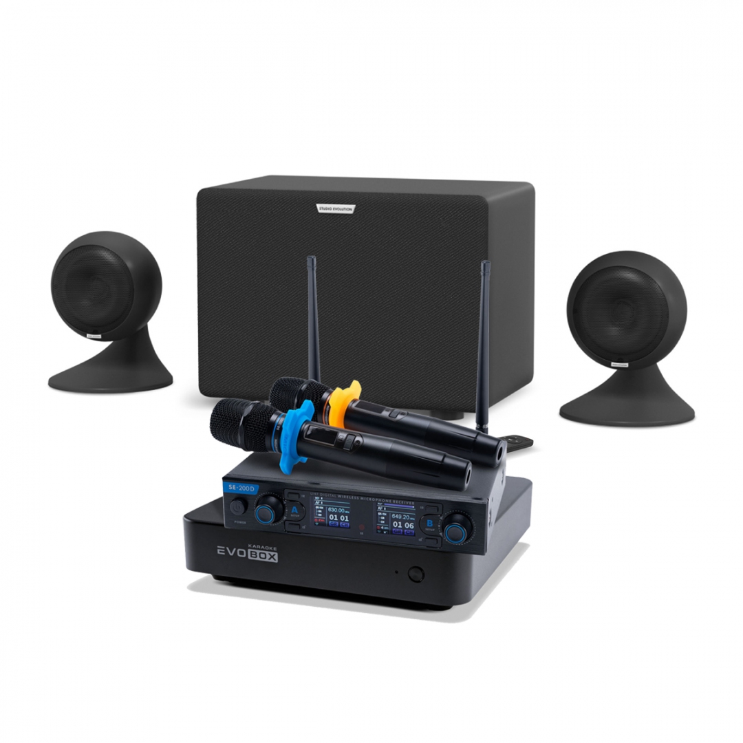 караоке-комплект EVOBOX + EvoSound Sphere 2.1 в Петрозаводске