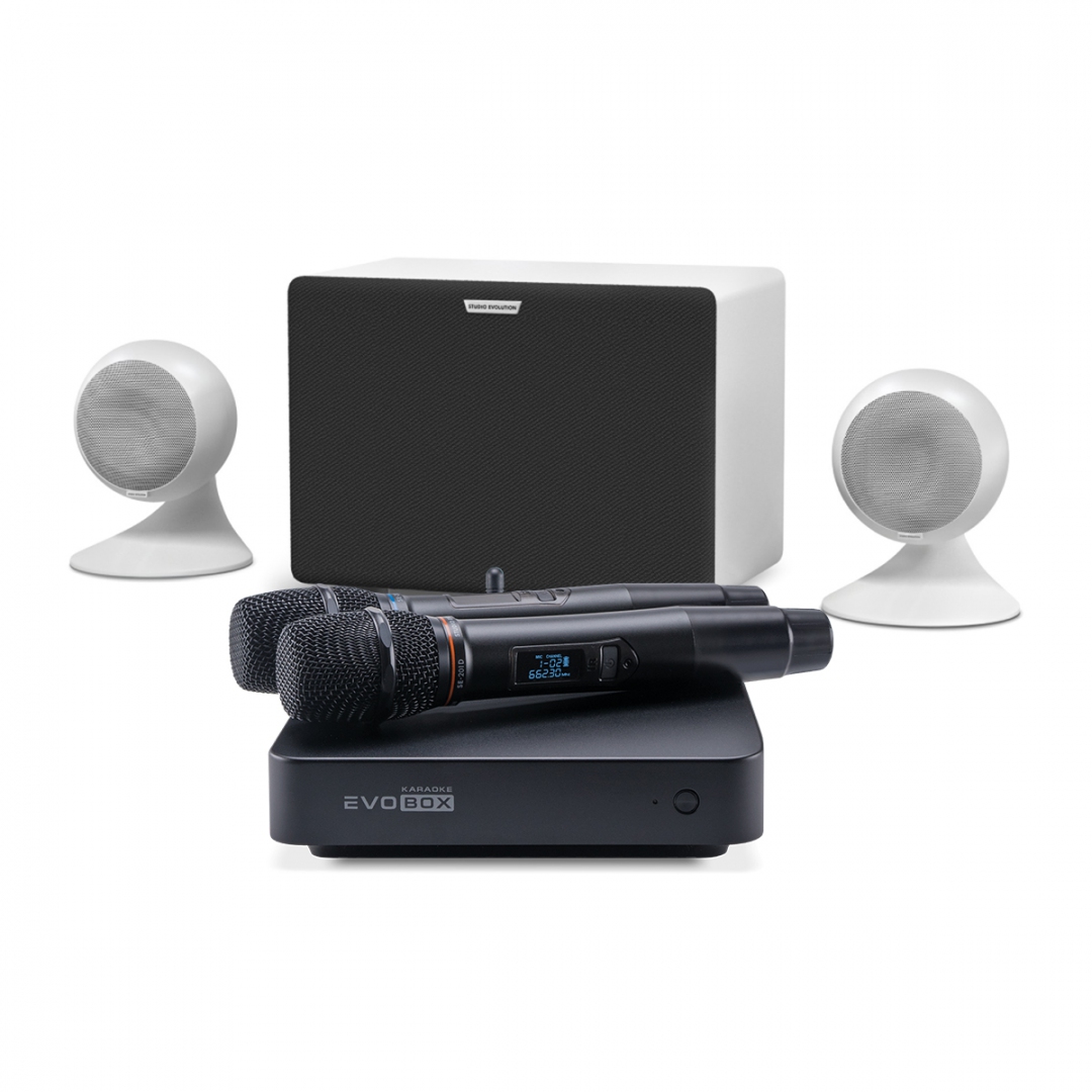 караоке-комплект EVOBOX Classic + EvoSound Sphere 2.1 в Петрозаводске