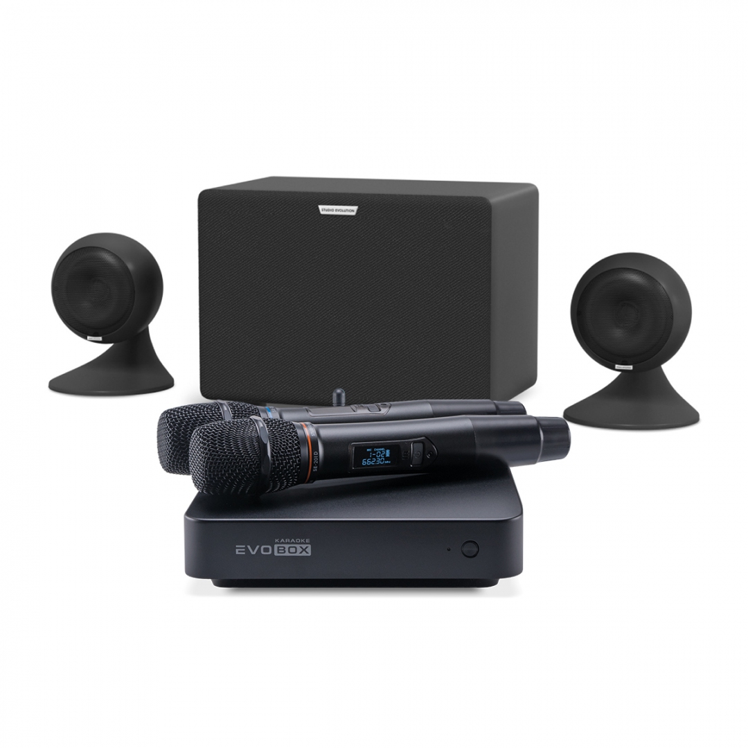 караоке-комплект EVOBOX Plus + EvoSound Sphere 2.1 в Петрозаводске