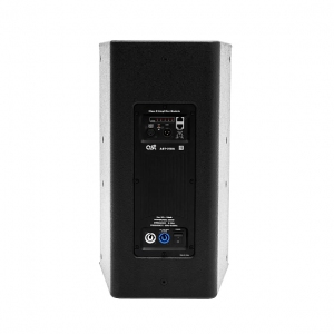 Активная акустическая система AST-310A в Петрозаводске