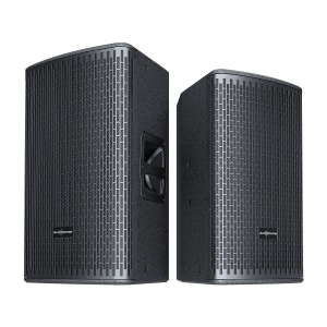 Audiocenter GT512A Активная акустическая система в Петрозаводске
