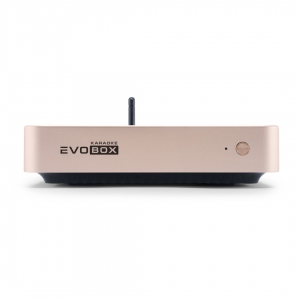 EVOBOX Plus караоке-система для дома в Петрозаводске