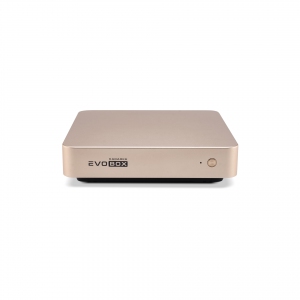 EVOBOX с микрофонами в Петрозаводске