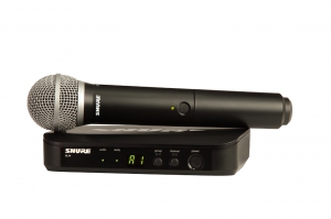 SHURE BLX24E/PG58 M17 вокальная радиосистема в Петрозаводске